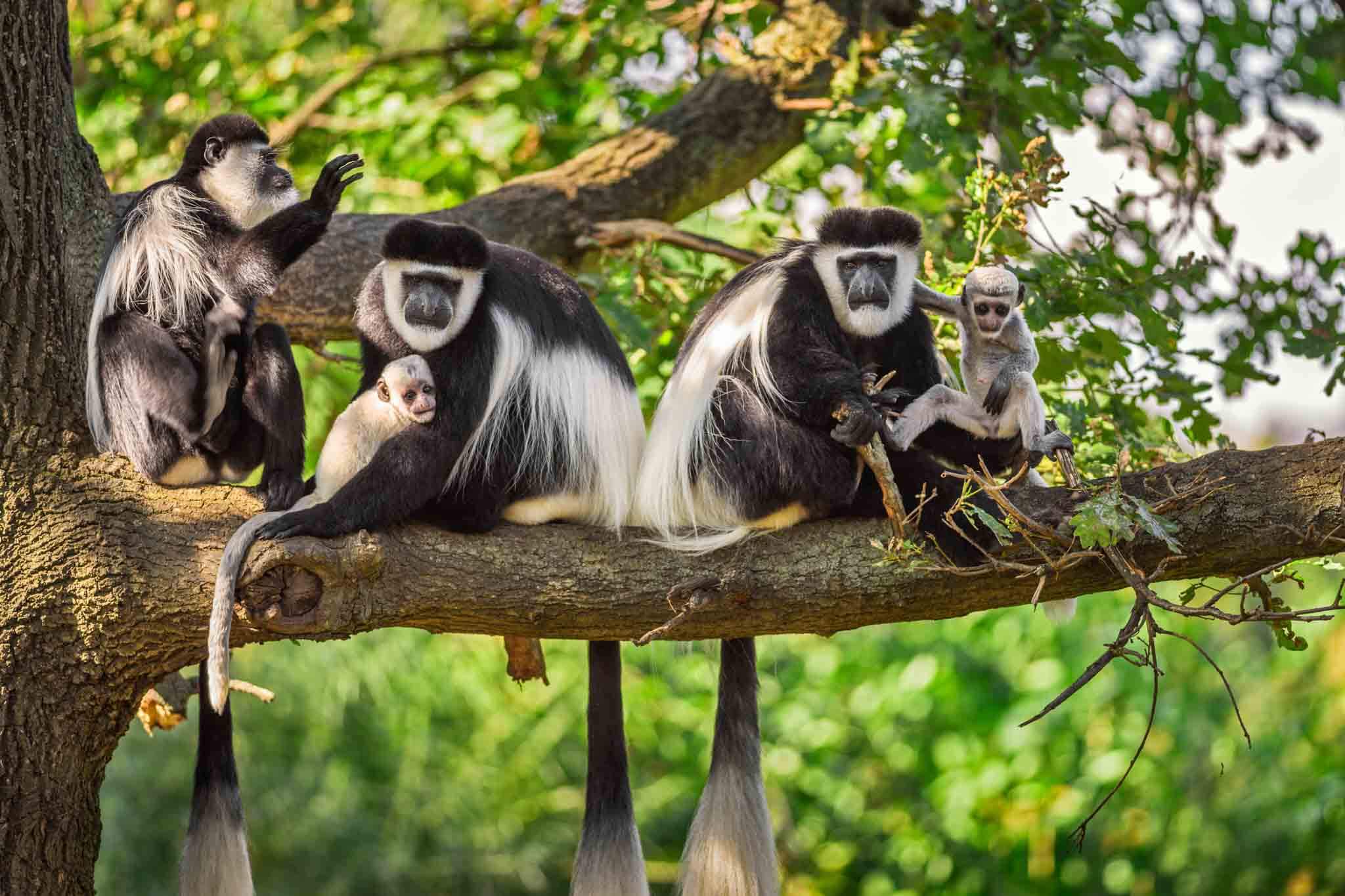 arusha national park 2