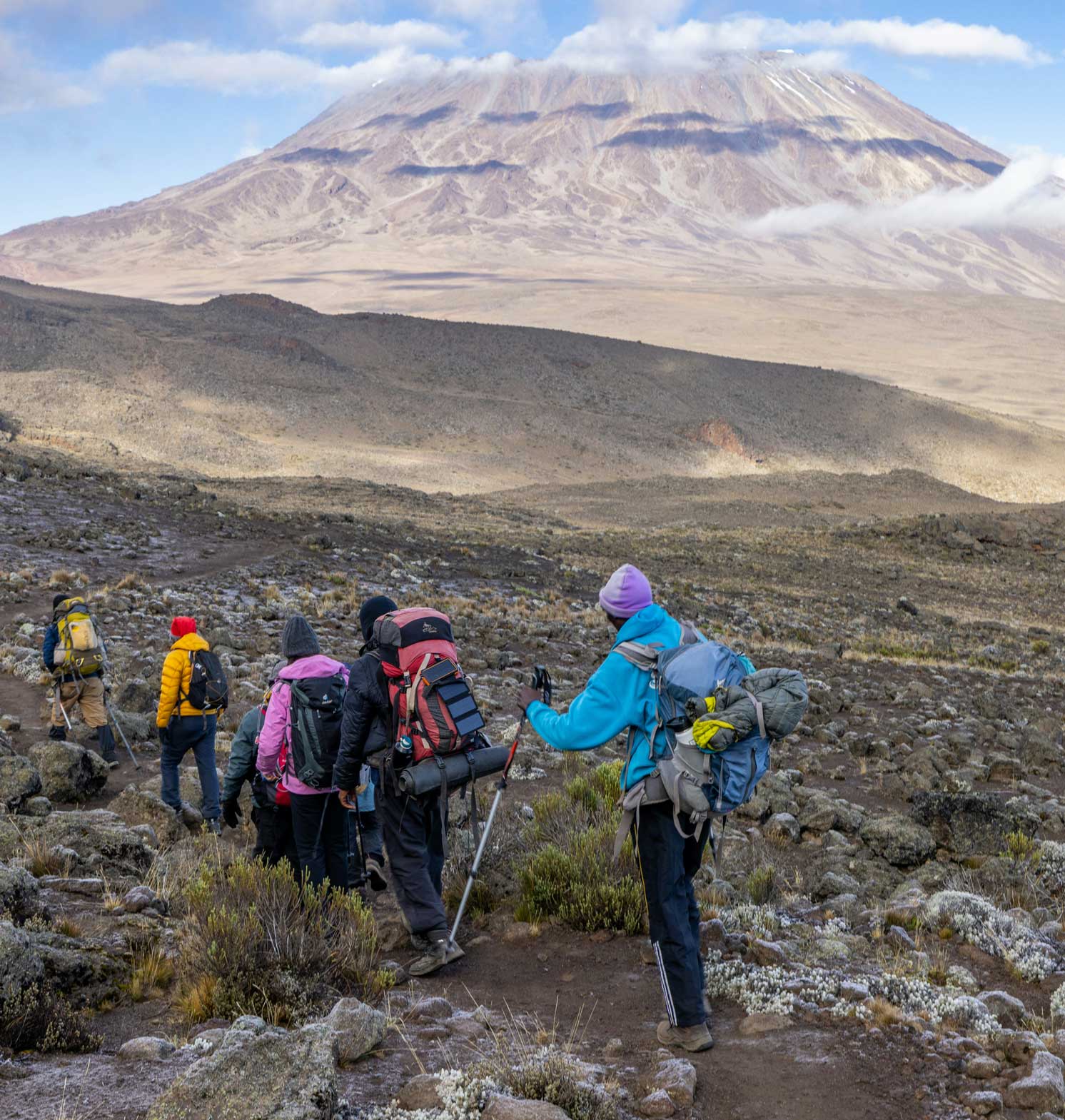 kilimanjaro