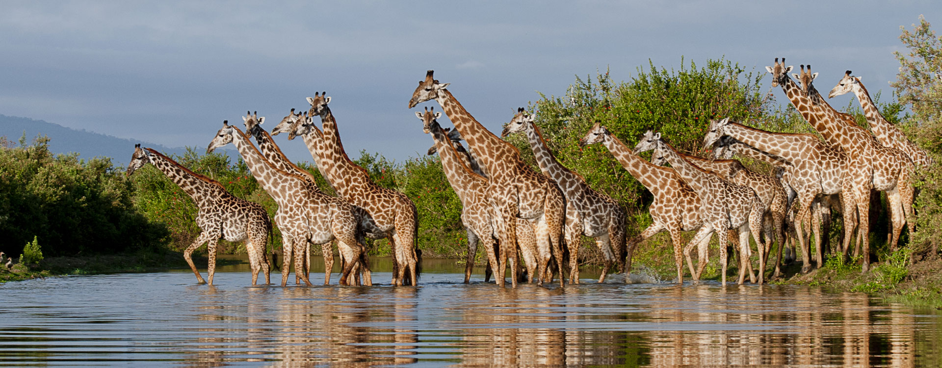 nyerere-national-park