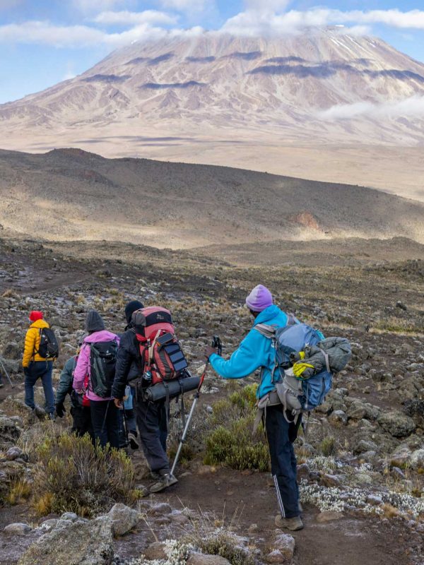 kilimanjaro