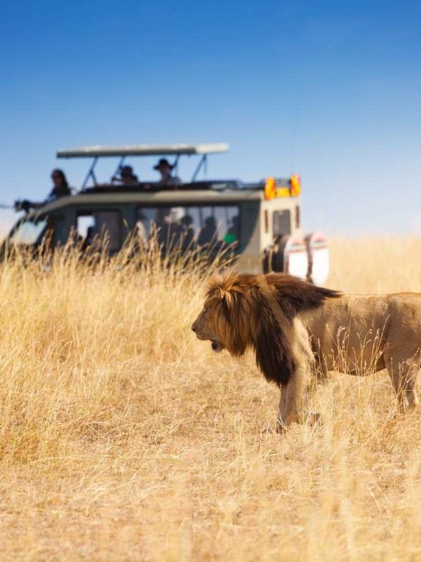 serengeti
